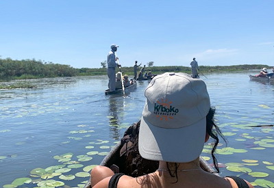 Caprivi Strip Namibia Zambezi Mubala Lodge Zambezi floodplain Botswana budget safari