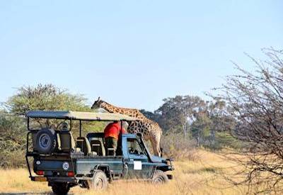 Wild camping en-suite tents Xaxaba Island Okavango Delta Botswana Delta Moremi safari