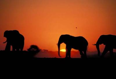 Semi-participation camping safari Botswana Namibia Zambia three countries 15 days
