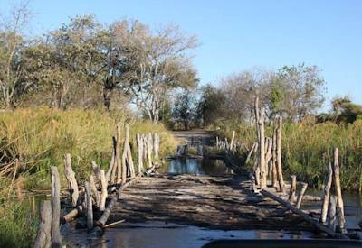 Wild camping private designated campsite Moremi Savuti Chobe Botswana Elephant Safari