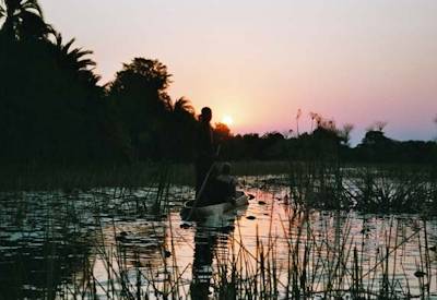 Chobe River sunset boat cruise African Fish Eagle Kasane Botswana Elephant Safari