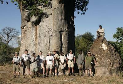 Wild camping private designated campsite Moremi Savuti Chobe River Botswana