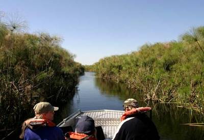 Mokoro island camping southern Okavango Delta reed channels Botswana Leopard Safari