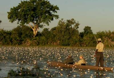 Semi-participation mobile camping Botswana Lion Safari Nxai Pan Okavango Delta Moremi