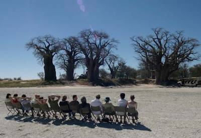 Lion sighting Moremi Game Reserve Chobe National Park Botswana Lion Safari camping