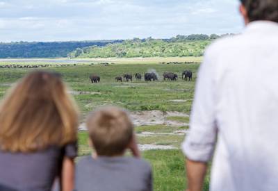 Chobe National Park largest elephant herds Africa family game drive boat cruise Botswana