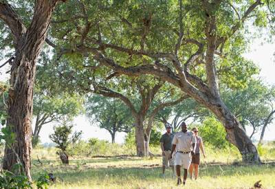 Family guided walk Okavango Delta Camp Okavango Botswana Ultimate Family Safari