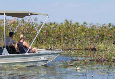 Camp Moremi Xakanaxa family suite lookout deck plunge pool Moremi Game Reserve Botswana