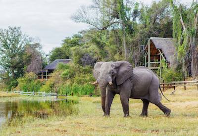 Savute Safari Lodge private guide Gubatsa Hills San rock paintings Chobe National Park