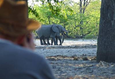 Open 4WD Land Rover game drive Moremi Chief's Island Chobe Botswana Wild Parks Safari