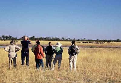 Game walks remote island Okavango Delta swimming clear water Botswana Wild Parks Safari