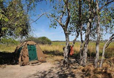 Okavango Delta mokoro island camping swimming clear water local guides Botswana Wildside