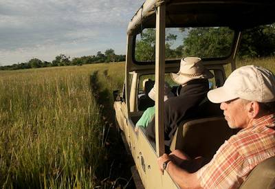 Open 4WD game drive Moremi Savuti wild dog lion elephant Botswana Wildside Safari