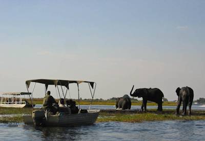 Chobe River sundowner boat cruise elephant herds Kasane Botswana Wildside Safari