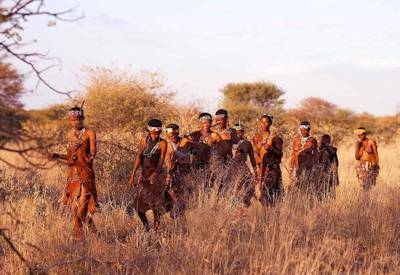 Walking with San Bushmen tracking wildlife plants Western Kalahari bow arrow hunt Botswana