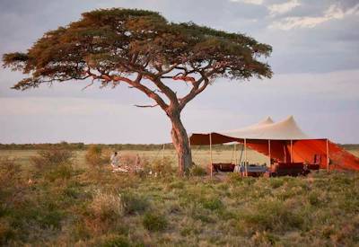 Luxury tented mobile camp Central Kalahari Game Reserve Deception Valley Botswana