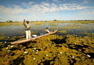 Mokoro boat cruise Xaxaba Boro River hippo elephant Moremi Okavango Delta Botswana