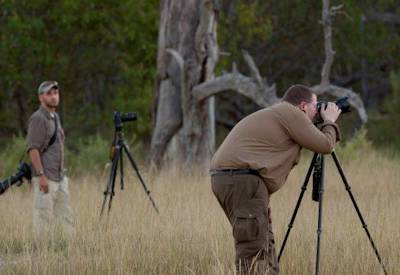 Photographic safari Boro River buffalo lion elephant Moremi Game Reserve Botswana