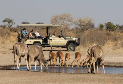  Central Kalahari Game Reserve Safari