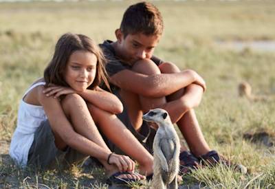 Habituated meerkat encounter Chapman's Baobab Makgadikgadi Pans family safari Botswana