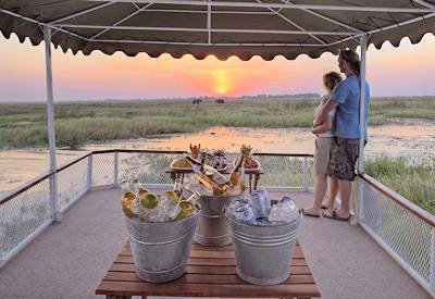 Chobe River sunset boat cruise elephant buffalo lion banks Botswana luxury tent safari