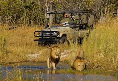 Wildlife sightings Okuti Camp Moremi Xakanaxa game drives motorboat family Botswana