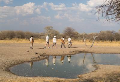 Family walking safari Dinaka Camp Central Kalahari Game Reserve Botswana star bed