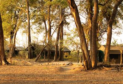 Shinde Footsteps Camp Shinde Private Concession Okavango Delta family eco safari Botswana