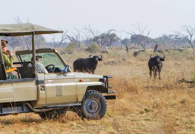 Family game drive Okavango Delta Camp Okavango mokoro boating birdwatching Botswana