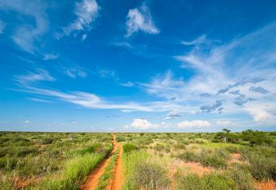 Kalahari Desert vast open space Central Kalahari 52800km² second largest reserve world
