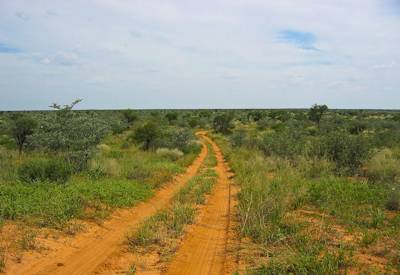 Green Kalahari rainy season Mabuasehube pans Trans Kalahari Safari Botswana