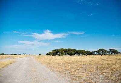 Sandy dirt road 4WD Central Kalahari south to north Trans Kalahari Safari Botswana