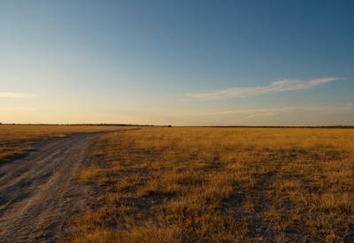 Khama Rhino Sanctuary white rhino community conservation Trans Kalahari Safari Botswana
