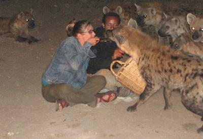 Harar Ethiopia walled city Jugol UNESCO colourful markets mosques shrines Eastern Ethiopia Safari
