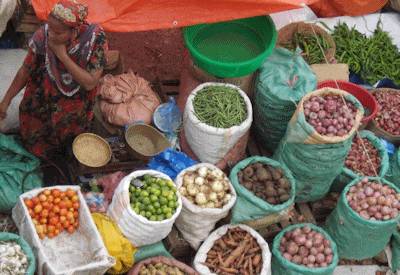 Harar Ethiopia House of Rimbaud historic walled city Jugol Eastern Ethiopia Safari