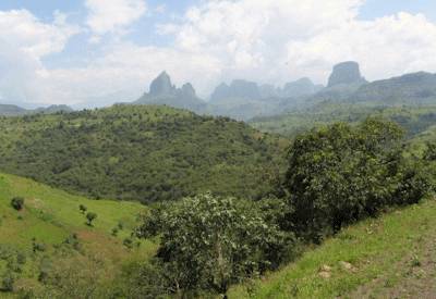 Gondar Ethiopia Fasil Ghebbi castles Royal Enclosure UNESCO Northern Ethiopia Historical Safari