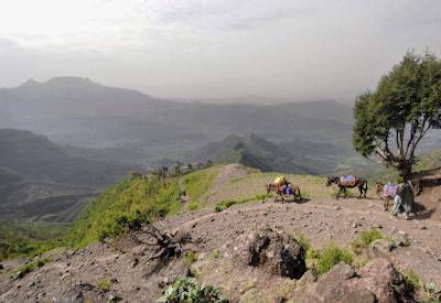 Simien Mountains Ethiopia Gelada baboon Geech Abyss Jinbar Falls trekking Historical Safari