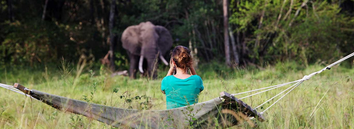 Elephant Pepper Camp