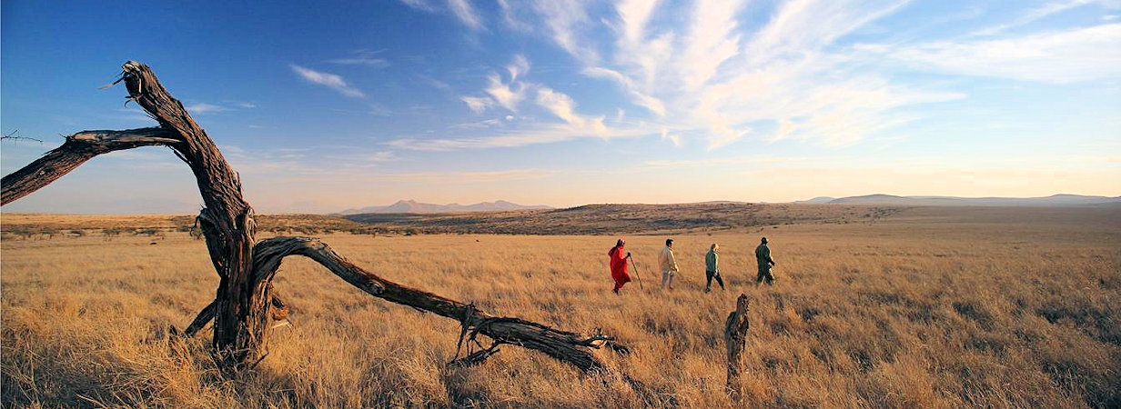 Lewa Safari Camp