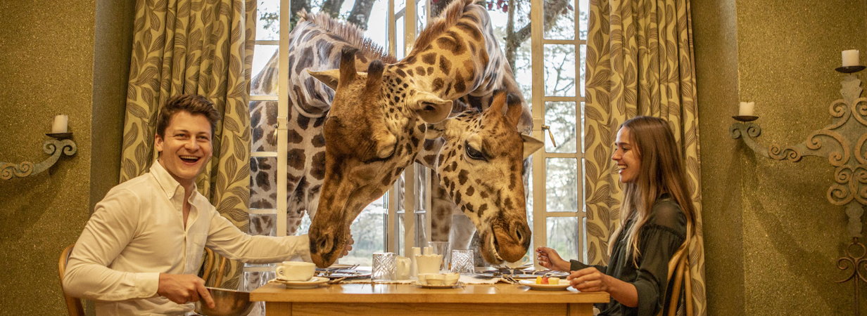 Giraffe Manor