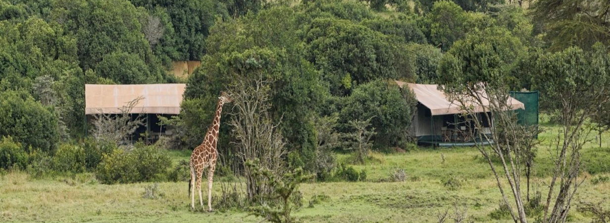 Porini Rhino Camp