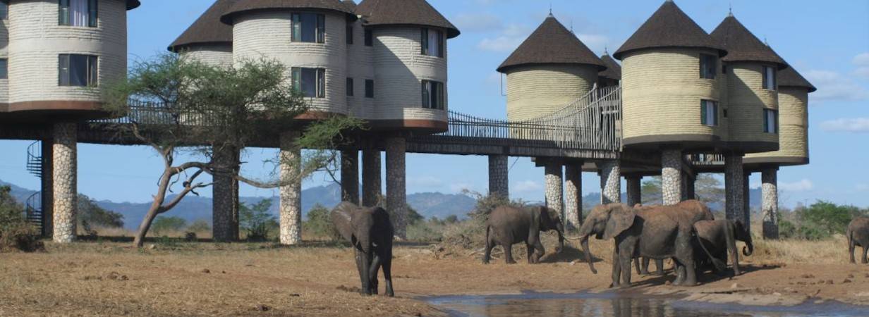 Sarova Salt Lick Game Lodge