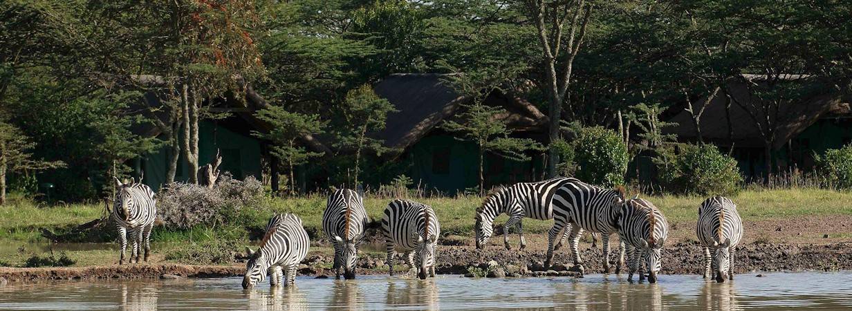 Sweetwaters Tented Camp