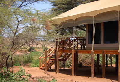 All safari suites are raised on viewsing decks