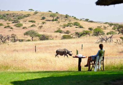 Rhino safaris in the Lewa Conservancy