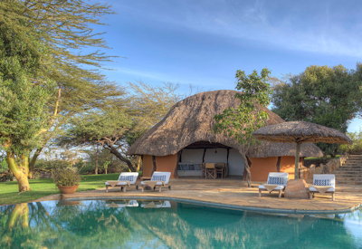 Swimming pool with sun loungers