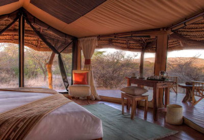Open fronted safari suites