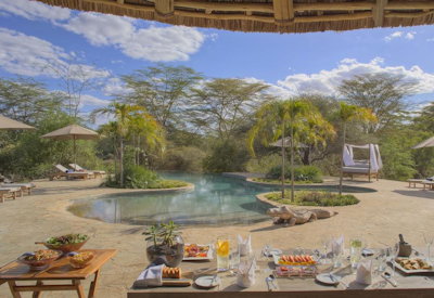 The Finch pool with sun loungers