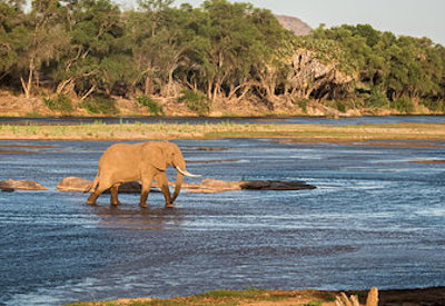 Galdessa on the Galana River