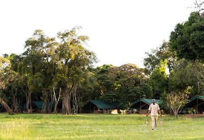 Professional staff and guides